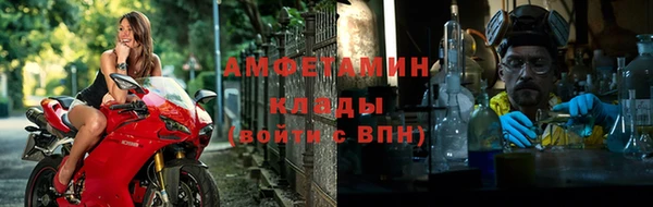 индика Аркадак