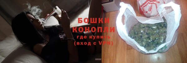индика Аркадак
