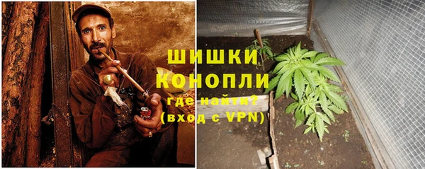 индика Аркадак