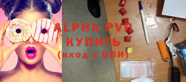 индика Аркадак