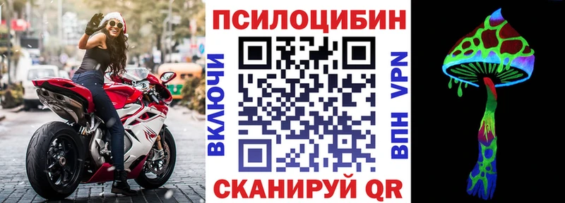 купить   Саяногорск  Галлюциногенные грибы MAGIC MUSHROOMS 